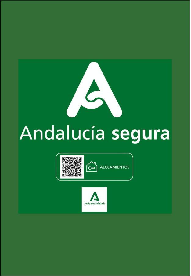Holidays2Malaga Sebastian Souviron High Speed Wifi Eksteriør bilde